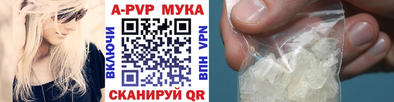 APVP СК  Волгодонск 