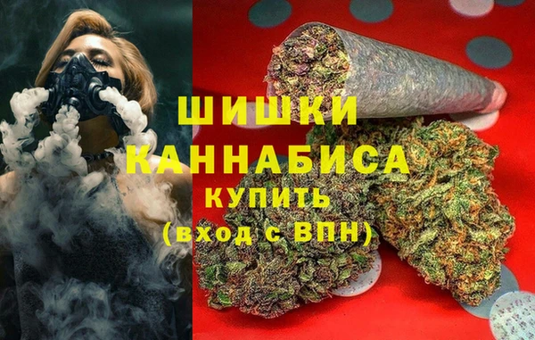 ПСИЛОЦИБИНОВЫЕ ГРИБЫ Аркадак