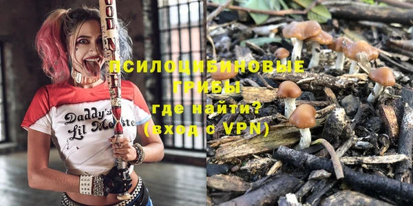 ПСИЛОЦИБИНОВЫЕ ГРИБЫ Аркадак