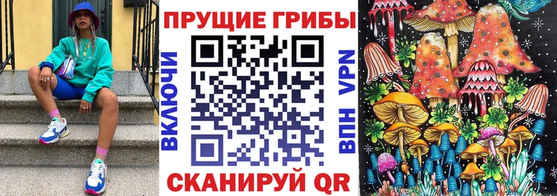 Галлюциногенные грибы Cubensis  наркошоп  Волгодонск 
