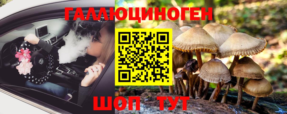 Волгодонск  даркнет сайт  Псилоцибиновые грибы Cubensis  Вход с VPN  Галлюциногенные грибы прущие грибы 